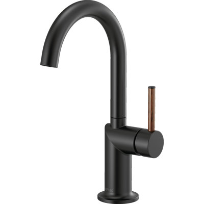 Odin® Bar Faucet with Arc Spout