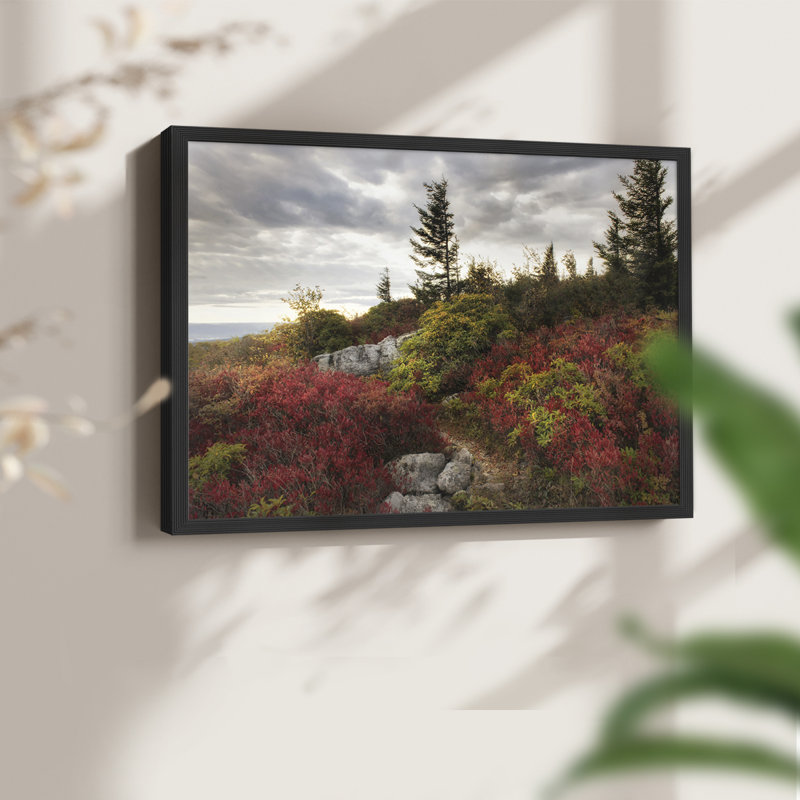 Highland Trail - reproduction encadrée - réversible, H 11 po x l 14 po, Black