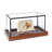 Display Case-687795745