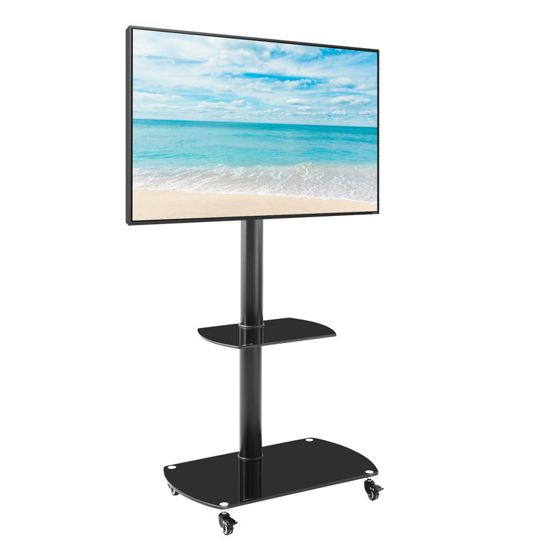Fairholme Ebern Designs Single Screen Floor Stand Mount