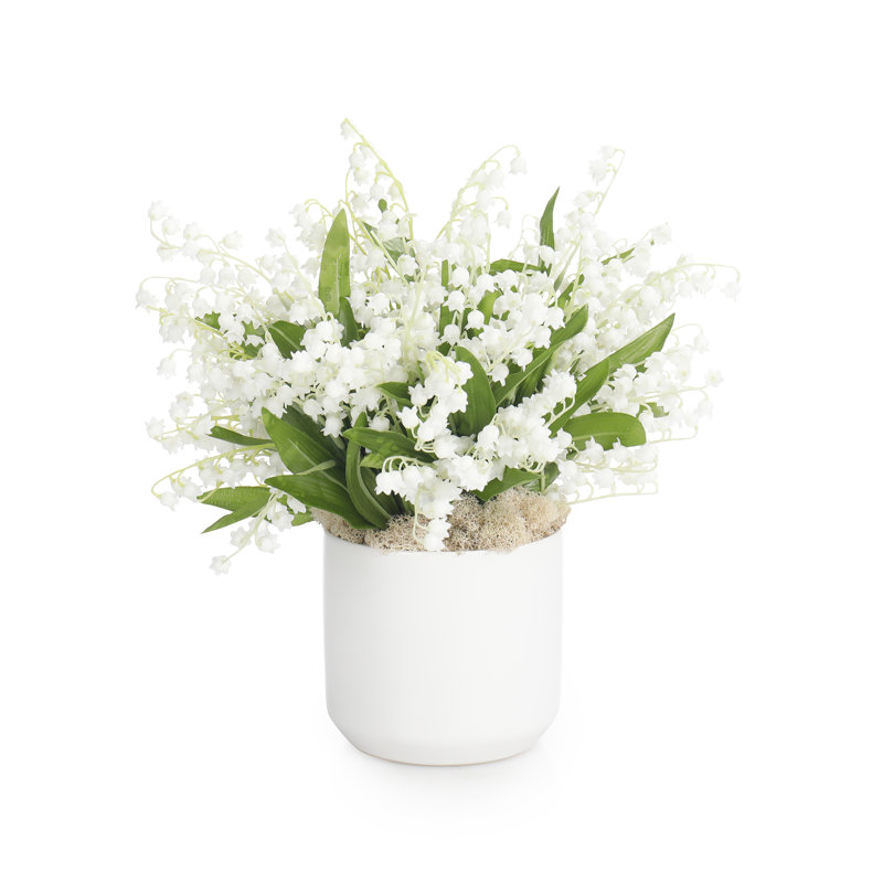 Muguet