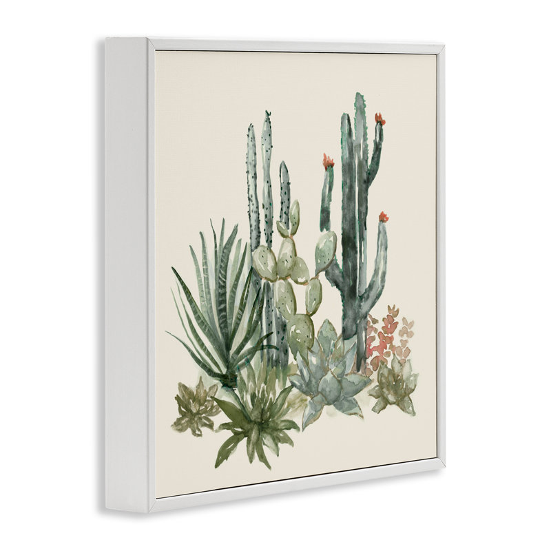 Mojave Green Succulents, giclée encadrée, design par Nan, H 17 po x l 17 po, Estampe numérique encadrée blanc bord de mer