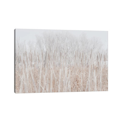 Cattails Hoarfrost With Snow by Nik Rave - Wrapped Canvas Gallery-Wrapped Canvas Giclée