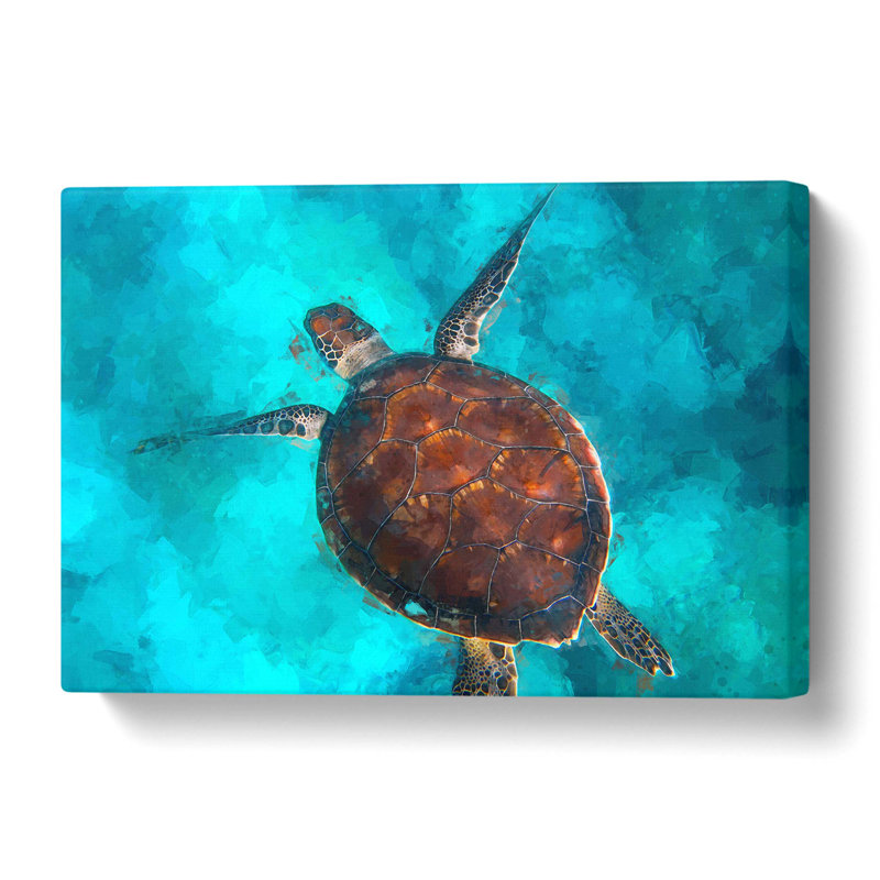 A Sea Turtle - Wrapped Canvas, 40.6 cm H x 61 cm W