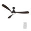 Ventilateur de plafond de 60 pouces avec télécommande et ensemble d'éclairage inclus.