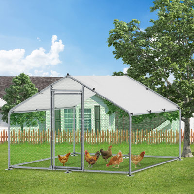 Cinderford Chicken Run