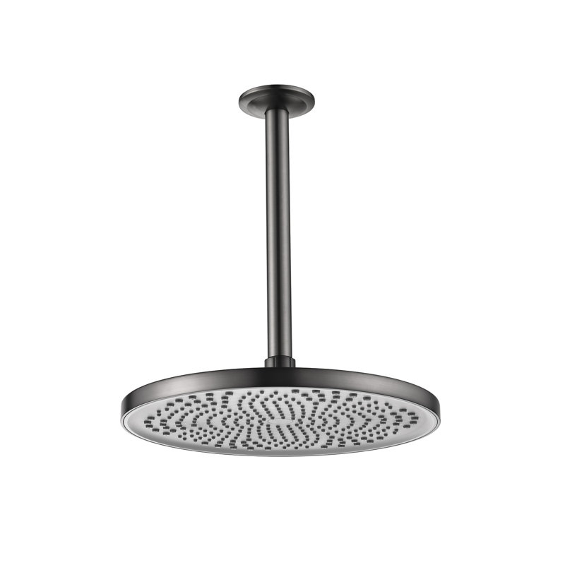 Pomme de douche pluie 2 GPM GPM, Métal industriel
