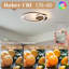 LED Semi Flush Mount-1962169696