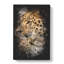 Leopard Vol.1 - Wrapped Canvas-61881872