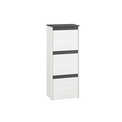 Azaneth 12 Pair Shoe Storage Cabinet