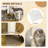 Brixham 54.25'' H Cat Tree
