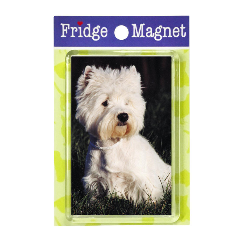 Fridge Magnet