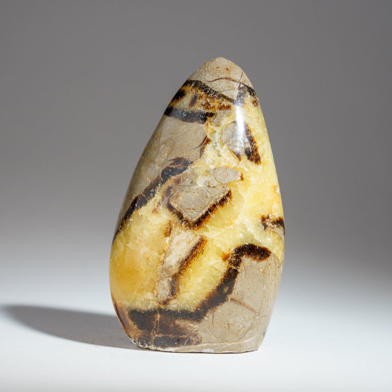Polished Septarian Freeform from Madagascar (2 Lbs)