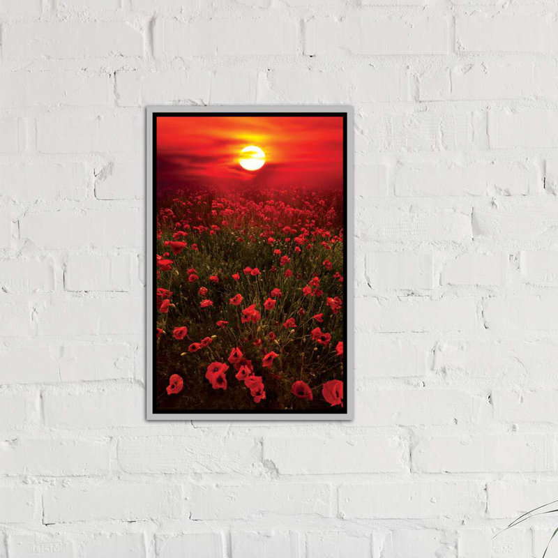 « chaleureux coucher de soleil » par marco carmassi-reproduction de photo, H 26 po x l 18 po x P 1,5 po