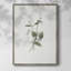 «Vintage Floral Print», impression encadrée CCV - bois massif-1578686379