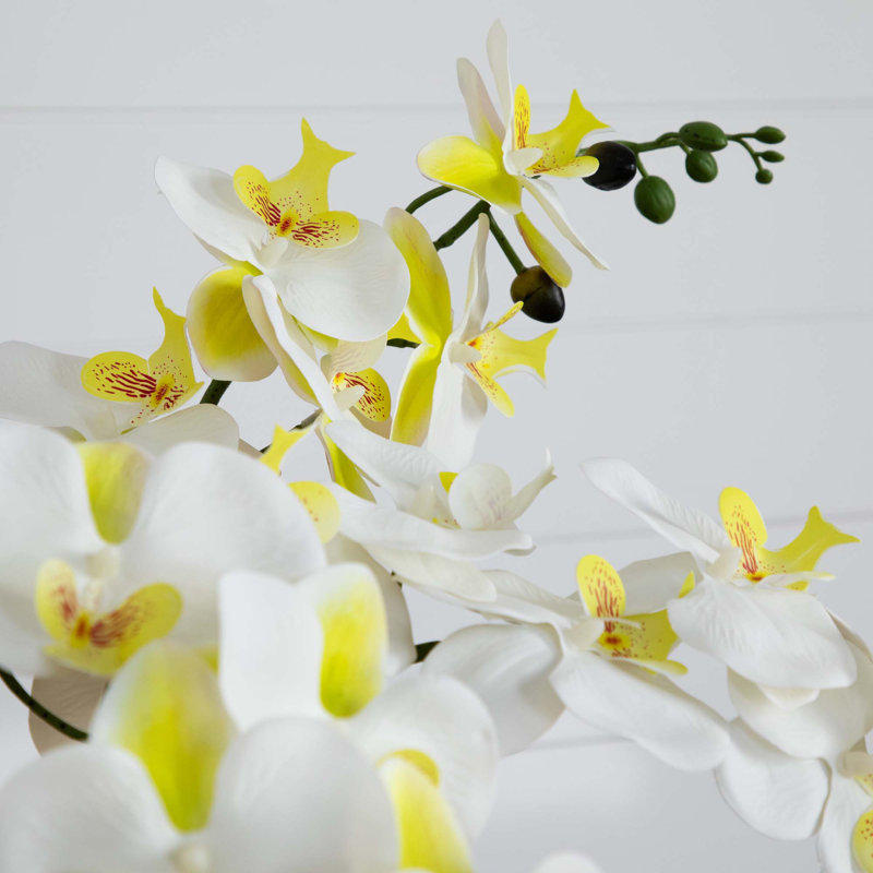 23 po Arrangement artificiel orchidée phalaenopsis en pot de céramique blanche (Real Touch)