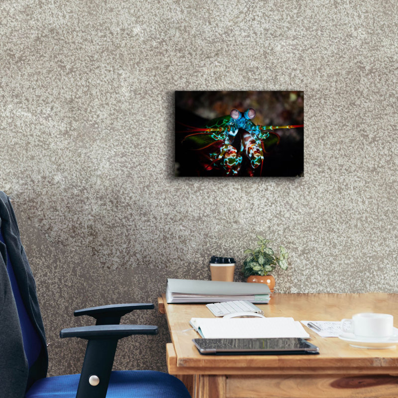 «Peacock Mantis Shrimp» par Epic Portfolio, art mural sur toile, H 12 po x l 18 po x P 0,75 po
