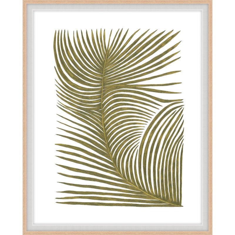 Botanicus Fem 2 Print, 25.54" H x 20.54" W