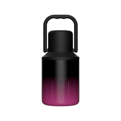 Bouteille d'eau isotherme gallon cruche avec poignée en acier inoxydable grande double bouteille d'eau pour les boissons chaudes et froides bouche large preuve de la sueur idéal pour le voyage camping en acier inoxydable
