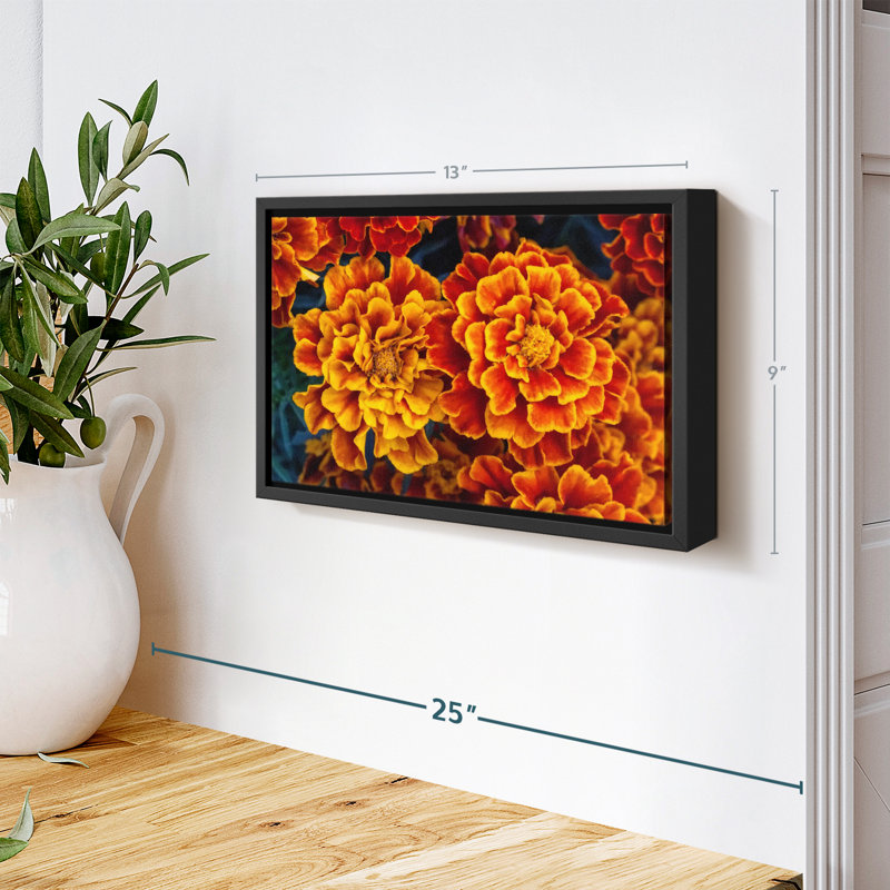 Floral And Botanical " Marigold Flowers Wall Art ", 9" H x 13" W
