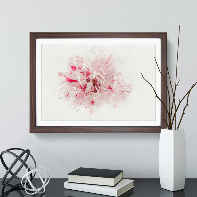 Striking White and Pink Carnation in Abstract - Framed Print, Walnut Framed, 27cm H x 36cm W x 2cm D