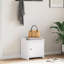 Sydalee Shoe Storage Cabinet-2069774932