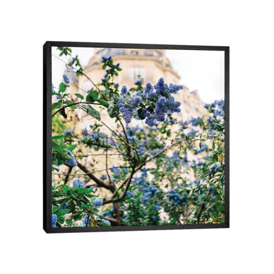 Paris Garden IV 1 Piece Wall Art on Canvas