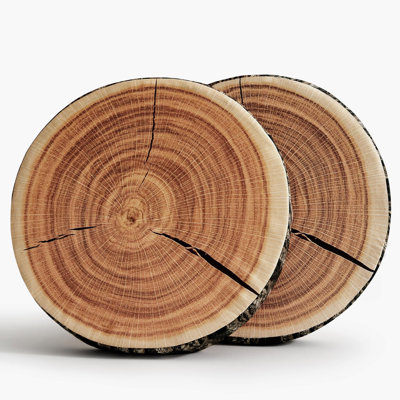 Outdoor Waterproof Throw Pillow, 3D Digital Print Comfortable Kids Funny Cute Wood Log Pillow Circle Seating Floor Cushion For Home, Couch, Bedroom, L by Foundry Select
