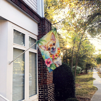 Double Sided 40'' H x 28'' W Polyester Animal House Flag