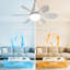 Ventilateur de plafond 20 pouces avec lumière, DEL à intensité variable 3 couleurs, moteur à courant continu silencieux, minuterie 2 / 4H, télécommande incluse