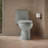 Adair 1.28 GPF Water Efficient Elongated One-Piece toilet (Seat Included)-10397012-65043899