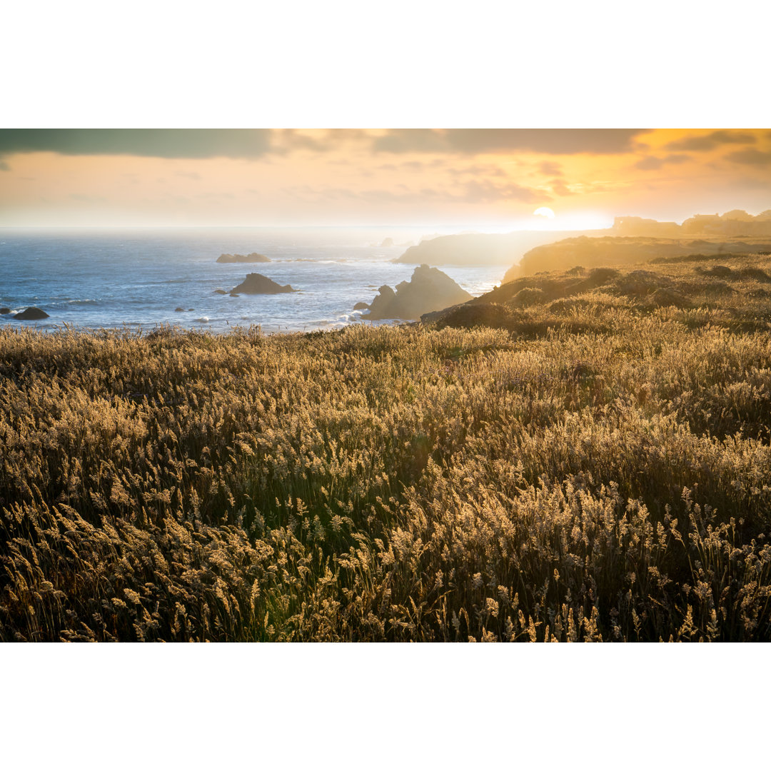 Coastal California von Bill Oxford - Druck ohne Rahmen auf Leinwand