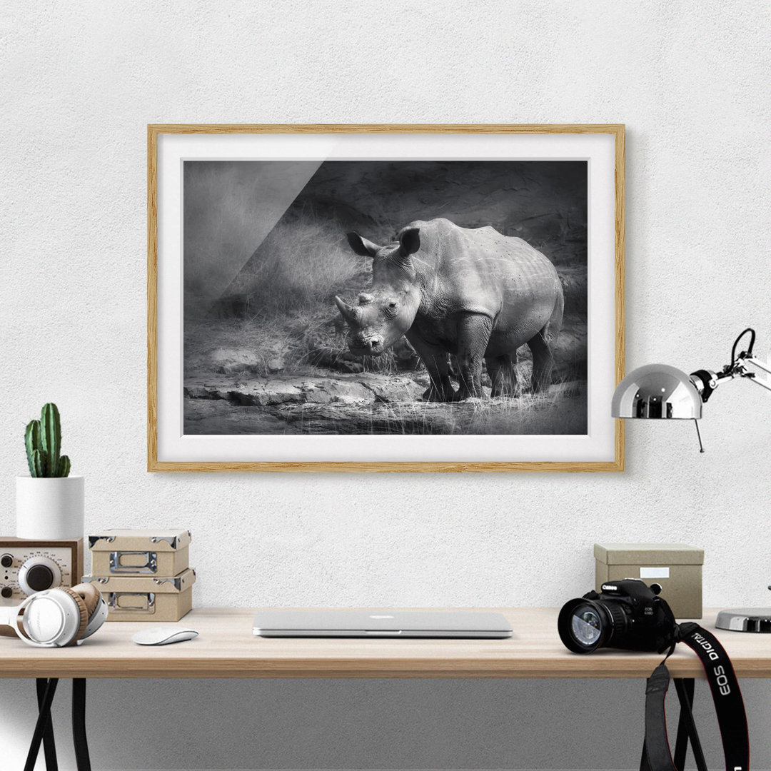 Gerahmtes Poster Lone Rhinoceros