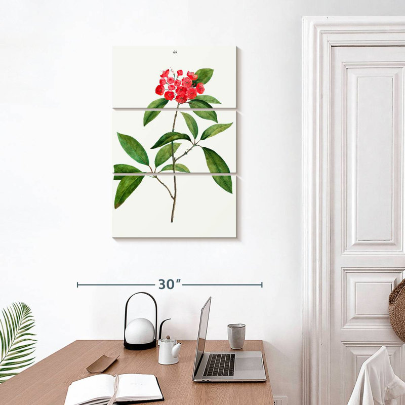 Laurier de montagne Keiri Kalmia Latifolia, H 32 po x l 20 po