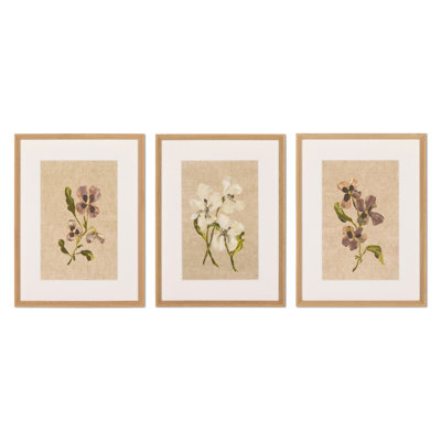 Blooms Ii Triptych By Brittney Shulz