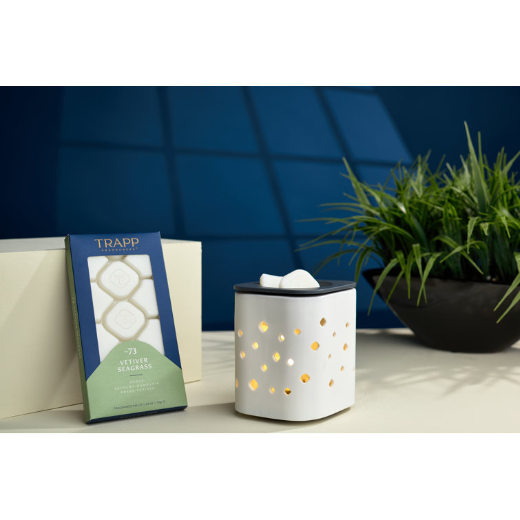 Wayfair  Wax Warmers