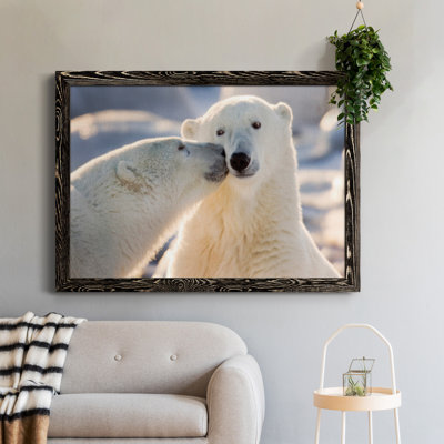 Baiser d'ours polaire - photographie sur toile