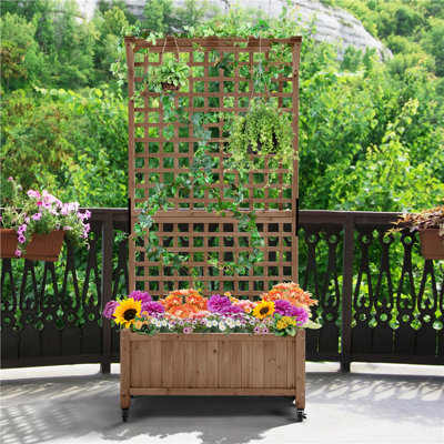 Yanine 75" H Fir Wood Planter Box with Trellis