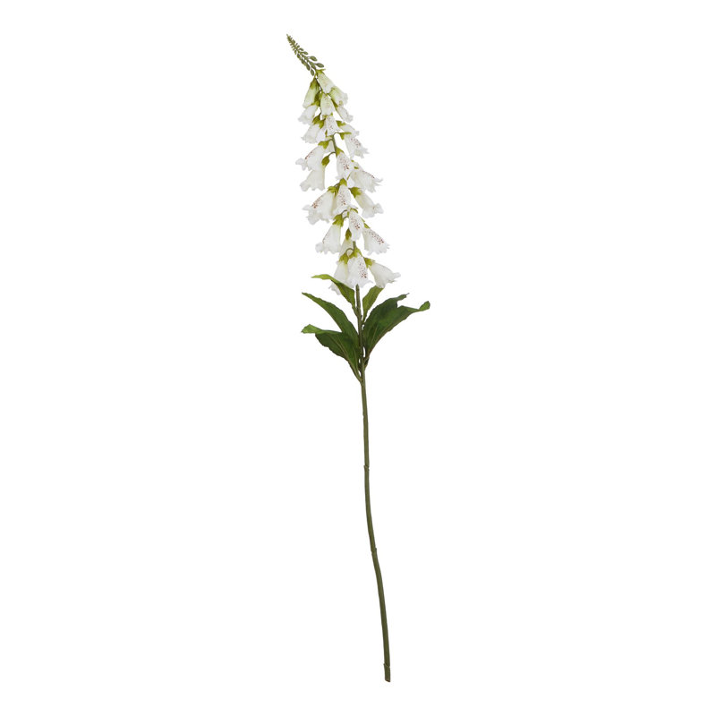The Natural Garden Collection Foxglove, White, 11cm H x 6cm W x 6cm D