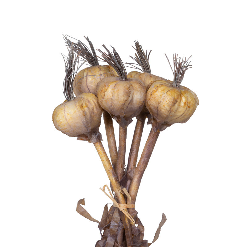 Faux Branch