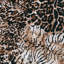 Couverture luxueuse et moelleuse à motif léopard, grand-122120400