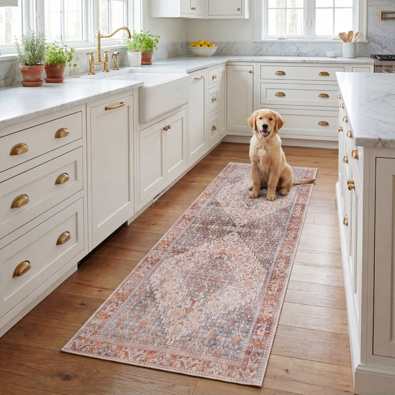 Ziebarth 166 M/W S/R Area Rug In Beige / Rust, Runner 2'6" x 8'