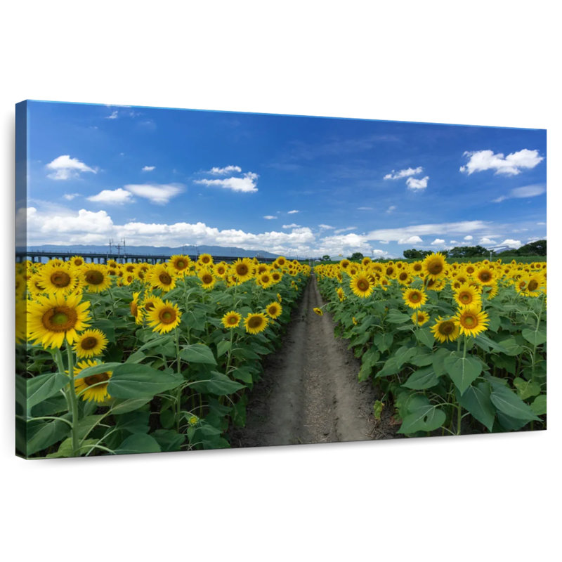 Sunflower Field Path, 34" H x 51" W