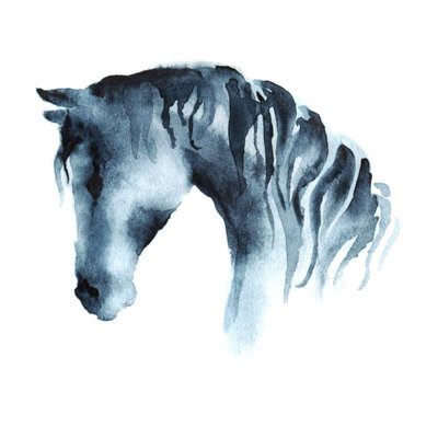 Horse Head On White by Larisa_zorina - Wrapped Canvas Print