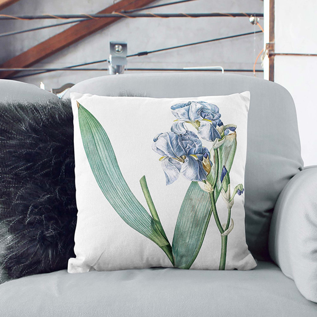 Dalmatian Iris Flower by Pierre-Joseph Redoute Cushion with Filling