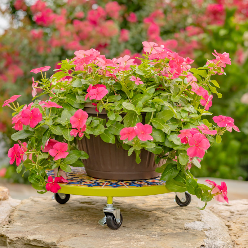 Chariot à plantes 13,8 po «London» (ensemble de 2)