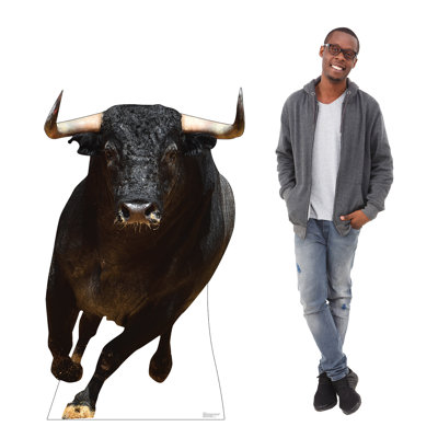 Bull