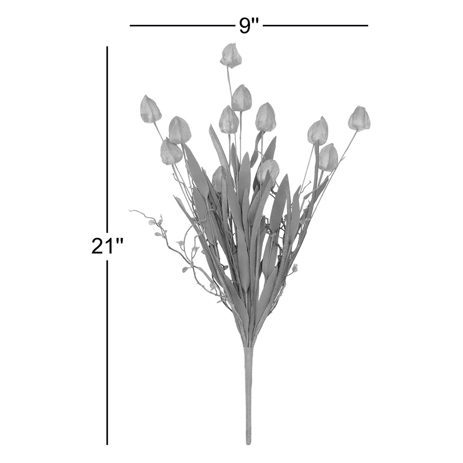Chinese Lantern Stems
