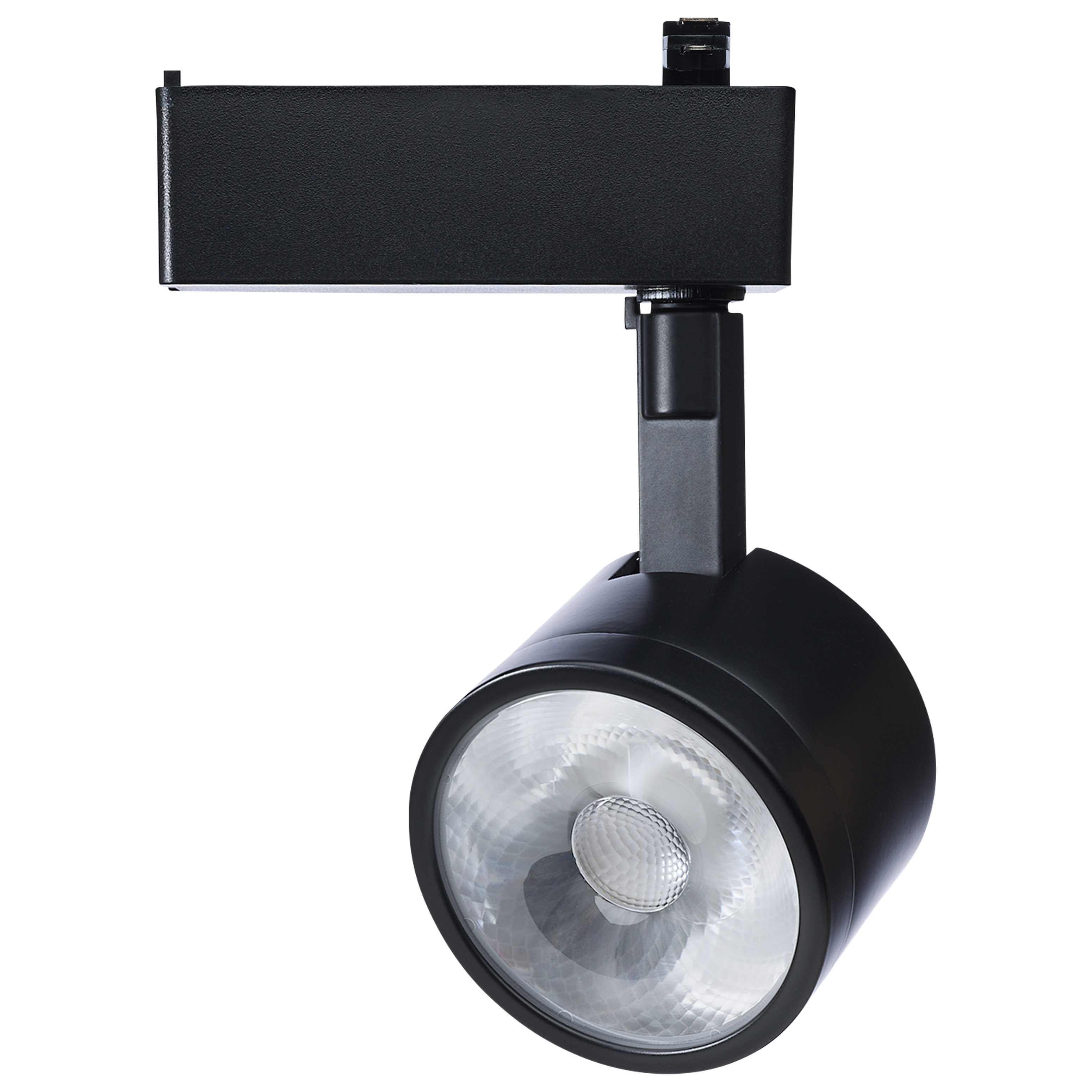 Starfish 12 Watt LED Track Head Starfish Enabled Round Shape 120 Volt ...
