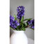 Artificial Purple Hyacinth 12.5”-999659140